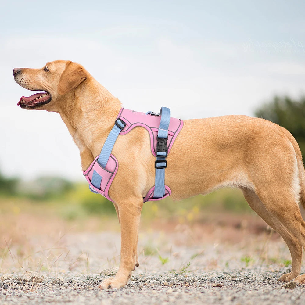No Pull Dog Harness Nylon Reflective Dog Harnesses Vest Easy Control Handle for Small Medium Large Dogs Labrador Training