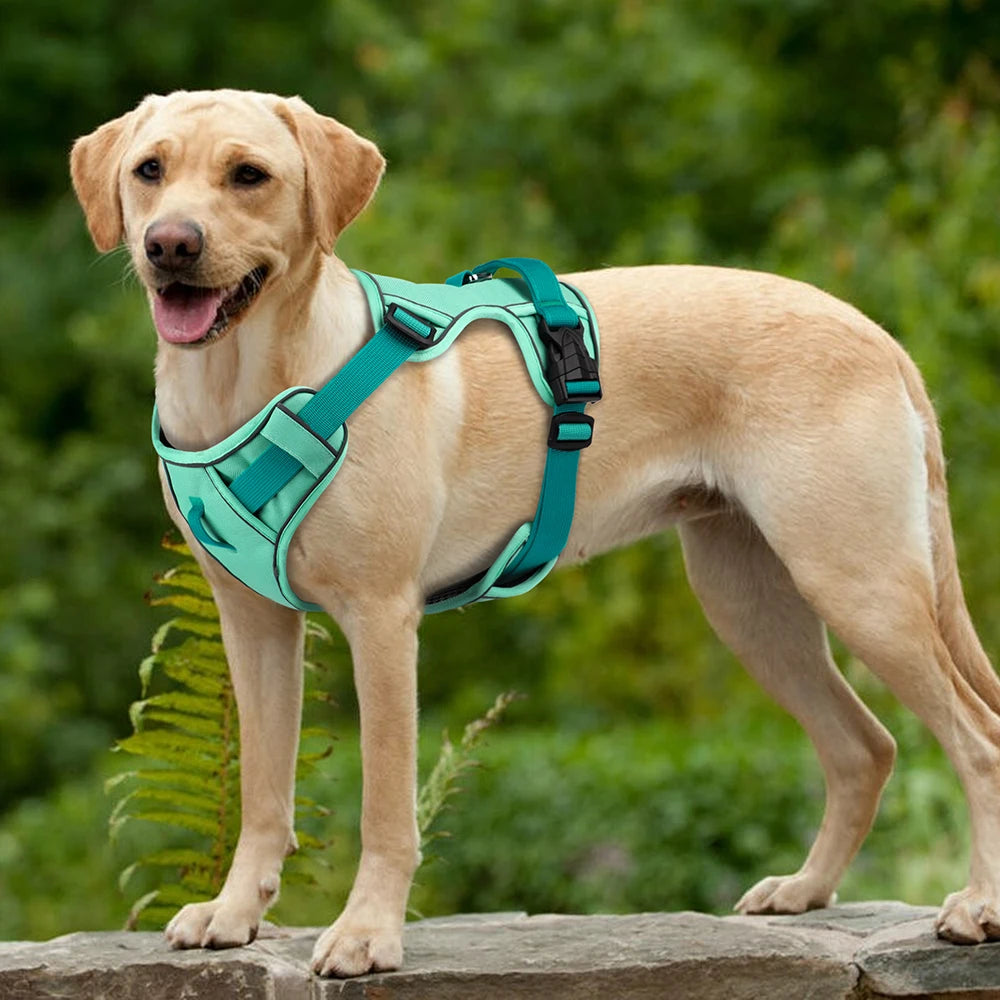 No Pull Dog Harness Nylon Reflective Dog Harnesses Vest Easy Control Handle for Small Medium Large Dogs Labrador Training