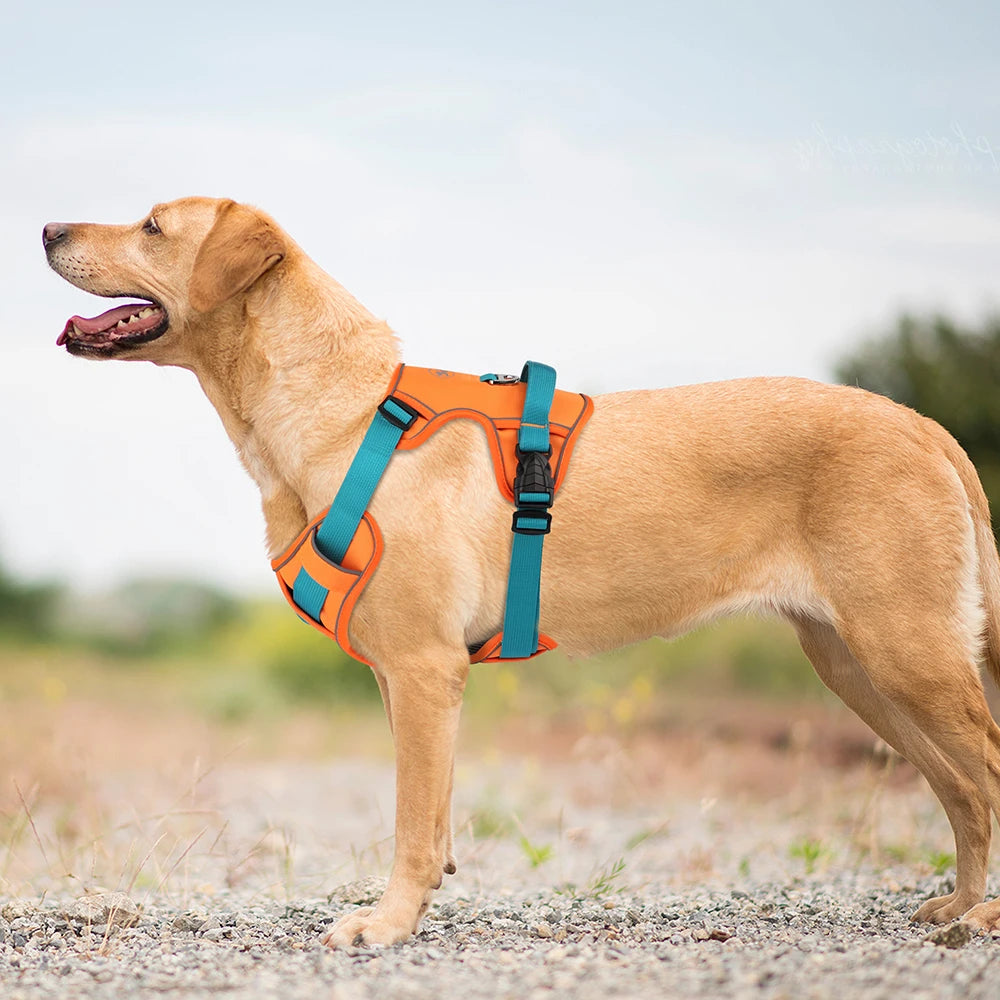 No Pull Dog Harness Nylon Reflective Dog Harnesses Vest Easy Control Handle for Small Medium Large Dogs Labrador Training